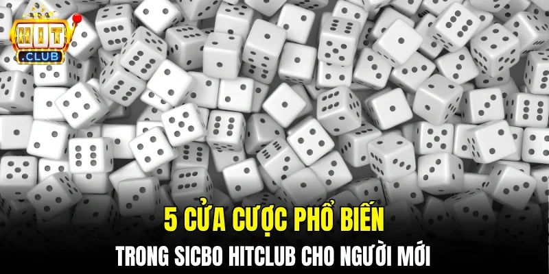 5 cửa cược phổ biến trong Sicbo Hitclub cho người mới 