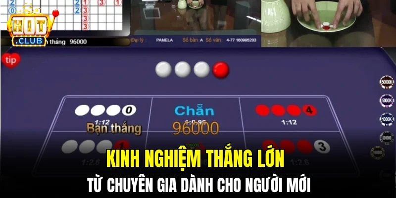 Kinh nghiệm thắng lớn từ chuyên gia dành cho người mới