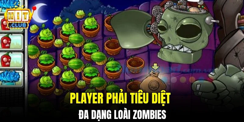 Player phải tiêu diệt đa dạng loài zombies